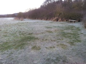 20130331_065803 footprints in the frost