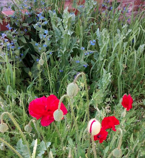 1 A WRITE WAI picture